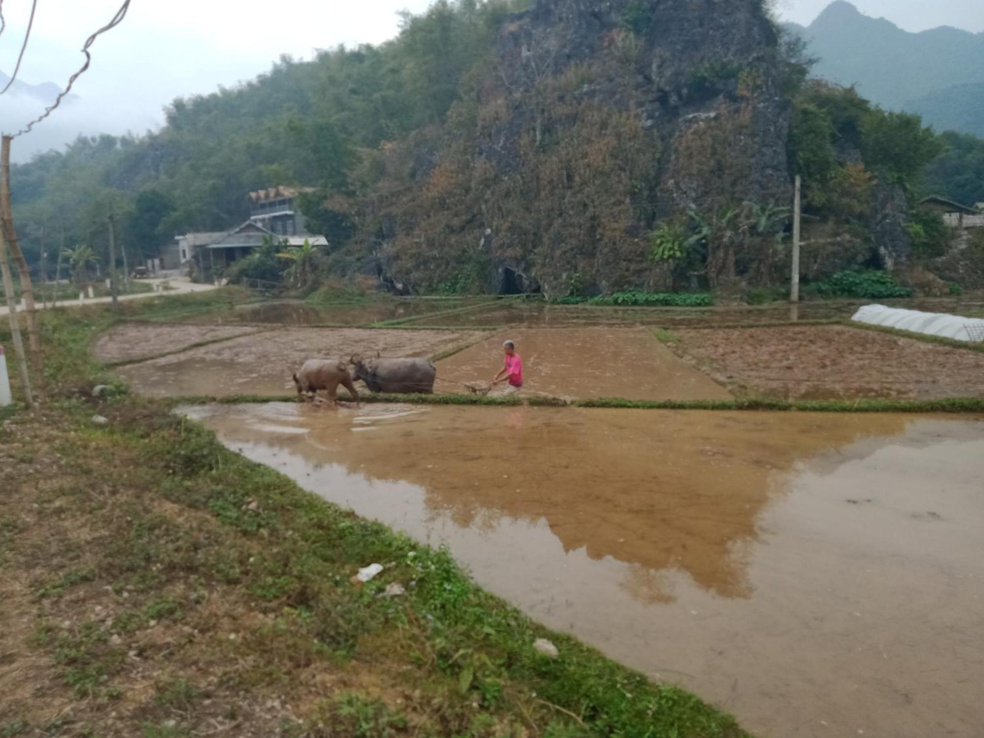 Truong Huy Homestay Mai Châu Zewnętrze zdjęcie